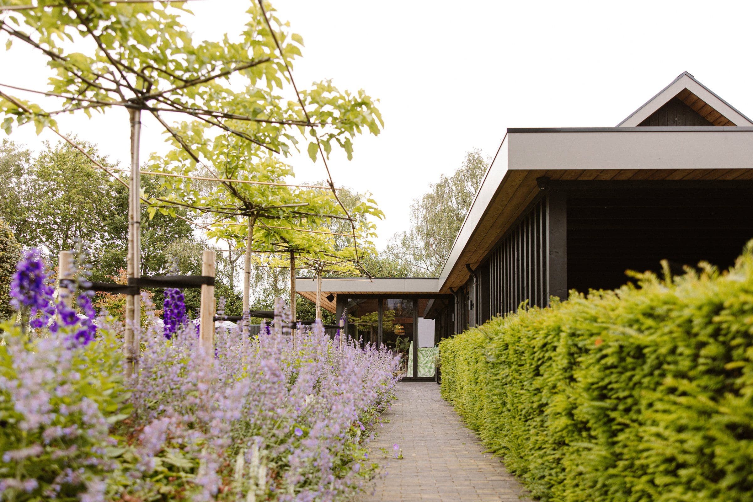 Tuinpad langs een hoge groene heg dat naar een moderne woning met overkapping leidt; links bloembed met paarse bloemen en jonge leibomen tegen draden.